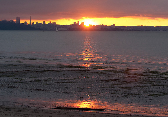 Bay Trail Sunset