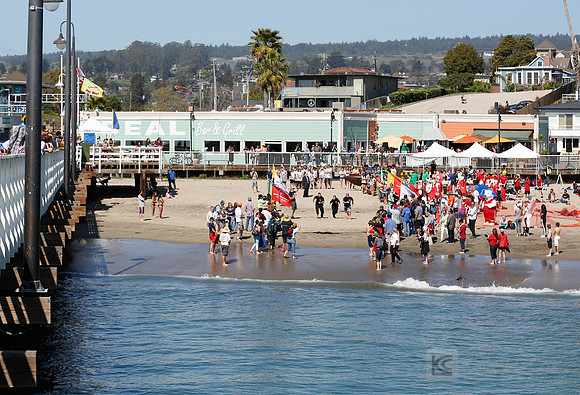 Santa Cruz Polar Plunge