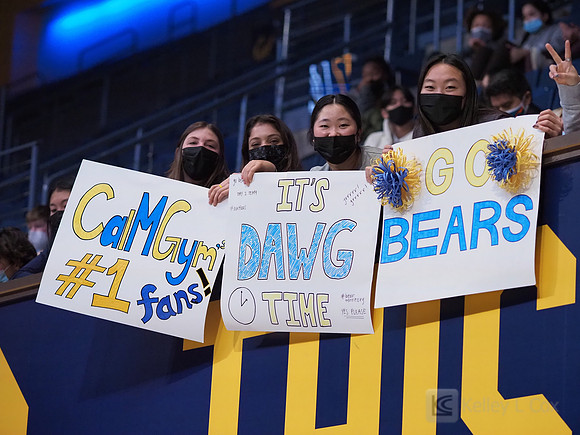 Fans