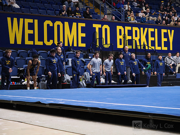 Men’s Gymnastics: California Golden Bears vs Stanford Cardinal