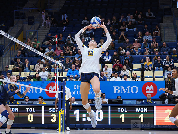 Volleyball: California Golden Bears vs Notre Dame Fighting Irish