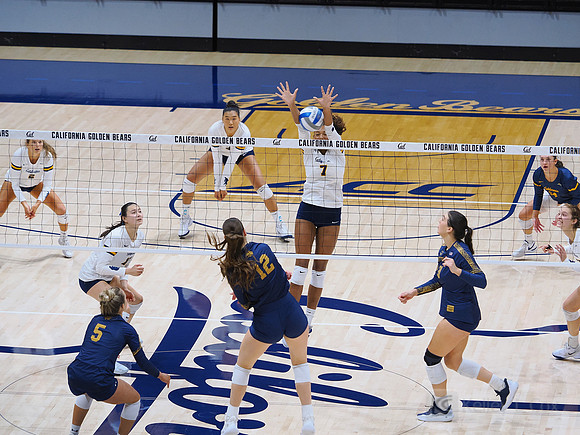 Volleyball: California Golden Bears vs Notre Dame Fighting Irish