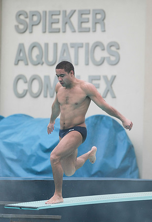 Cal Men's Swimming vs Stanford