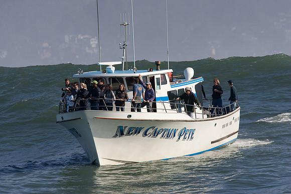 Mavericks 2010