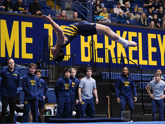 Men’s Gymnastics: California Golden Bears vs Stanford Cardinal