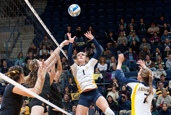 Cal Volleyball vs ASU