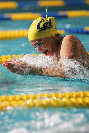 Cal Women's Swimming vs USC