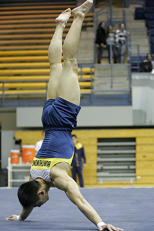 Cal Men's Gymnastics vs Stanford