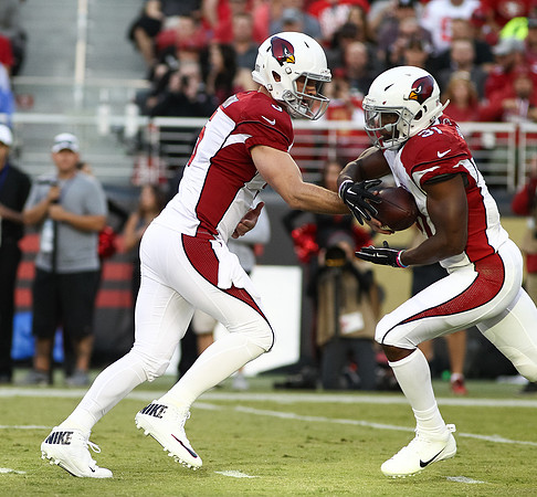 NFL: Arizona Cardinals at San Francisco 49ers