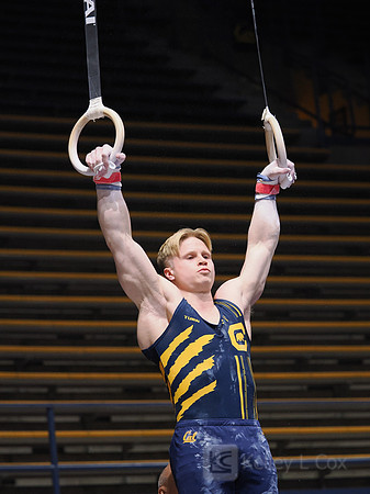 Men’s Gymnastics: California Golden Bears vs Stanford Cardinal