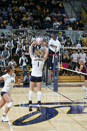 Cal Volleyball vs Arizona State