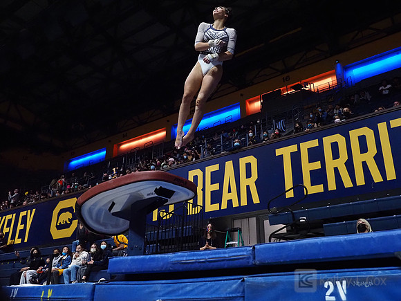 Women’s Gymnastics: California Golden Bears vs Iowa Hawkeyes