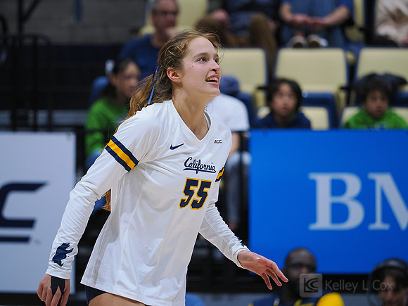 Volleyball: California Golden Bears vs Notre Dame Fighting Irish