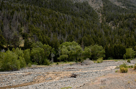 Wyoming