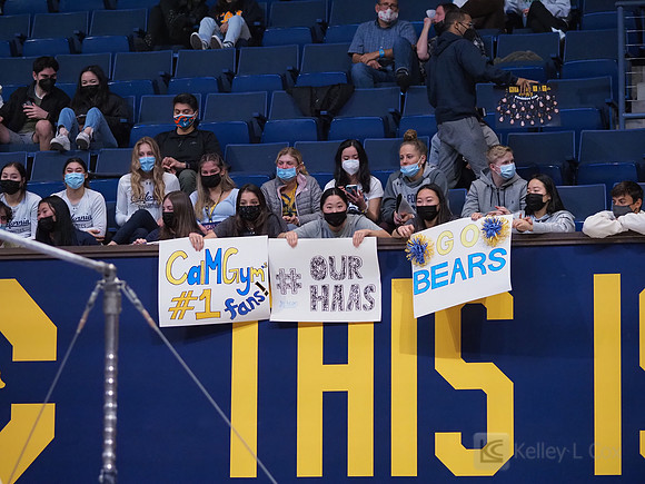 Fans