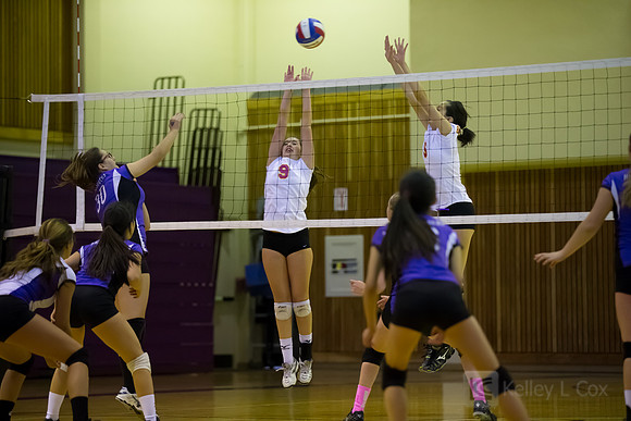 JV Volleyball: Berkeley at Piedmont