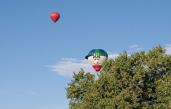 Albuquerque International Balloon Fiesta 2010