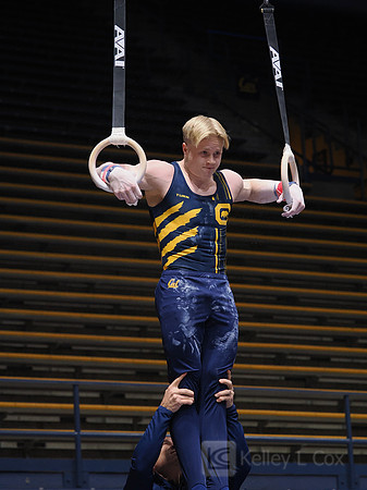 Men’s Gymnastics: California Golden Bears vs Stanford Cardinal