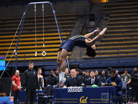Men’s Gymnastics: California Golden Bears vs Stanford Cardinal