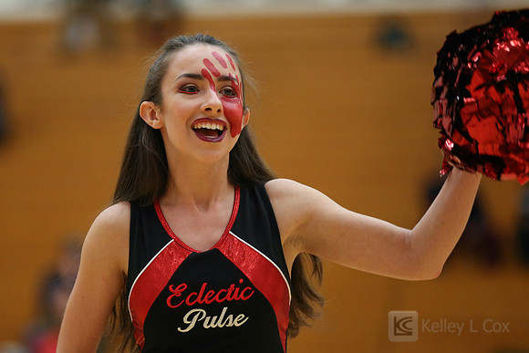 Ecletic Pulse