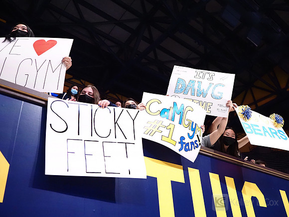 Fans