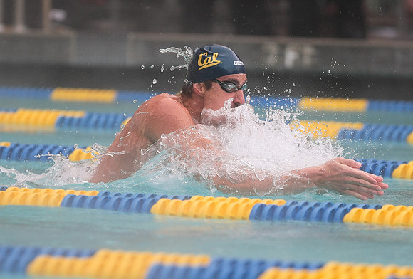 Cal Men's Swimming vs Stanford