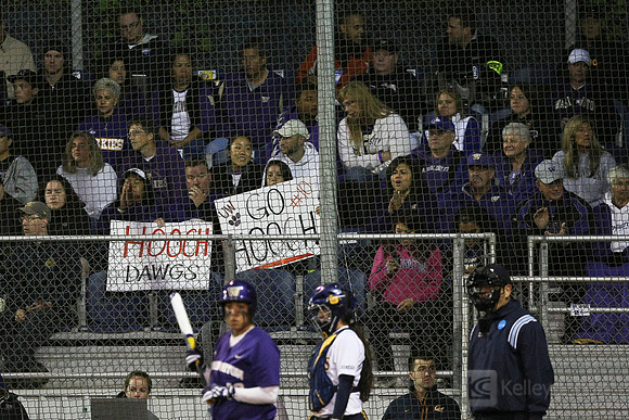 Softball: Cal vs Washington