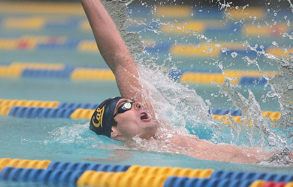 Cal Men's Swimming vs Stanford