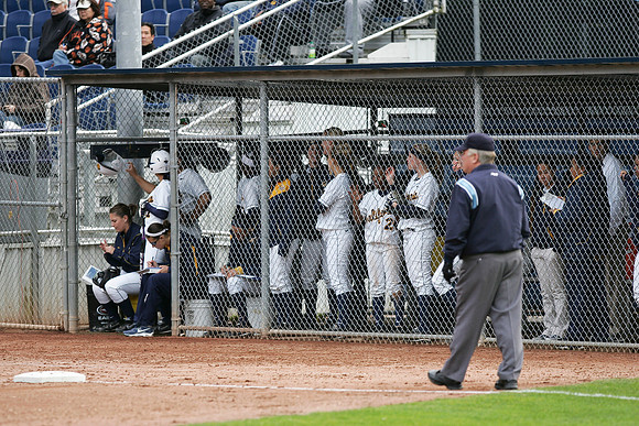 Cal Softball vs Santa Clara