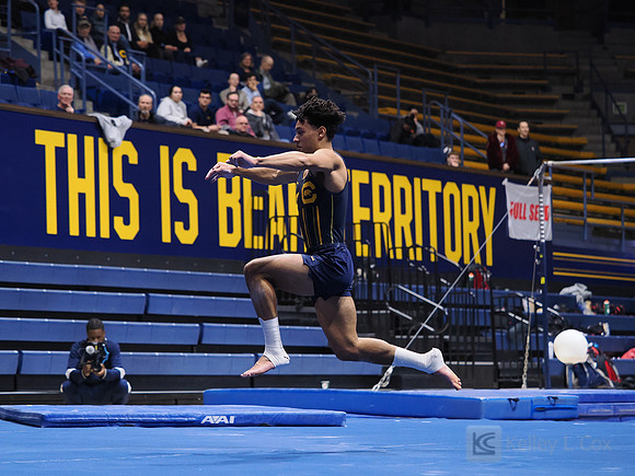 Men’s Gymnastics: California Golden Bears vs Stanford Cardinal