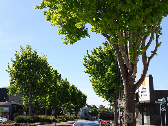 City of El Cerrito: Bike to Wherever Days