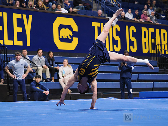 Men’s Gymnastics: California Golden Bears vs Stanford Cardinal