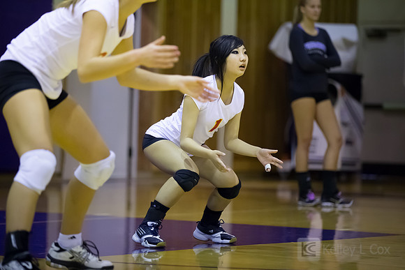 JV Volleyball: Berkeley at Piedmont