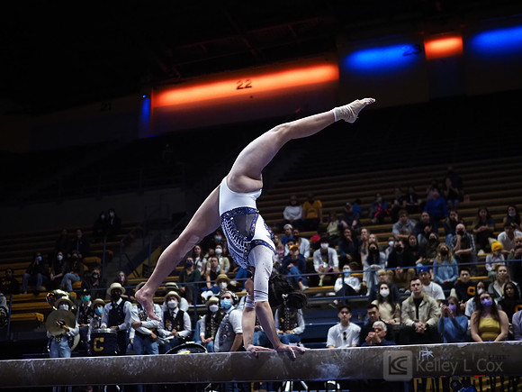 Women’s Gymnastics: California Golden Bears vs Iowa Hawkeyes