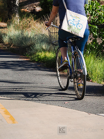 City of El Cerrito: Bike to Wherever Days