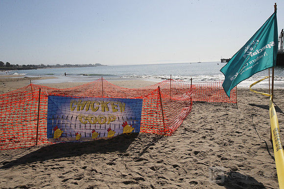 Santa Cruz Polar Plunge