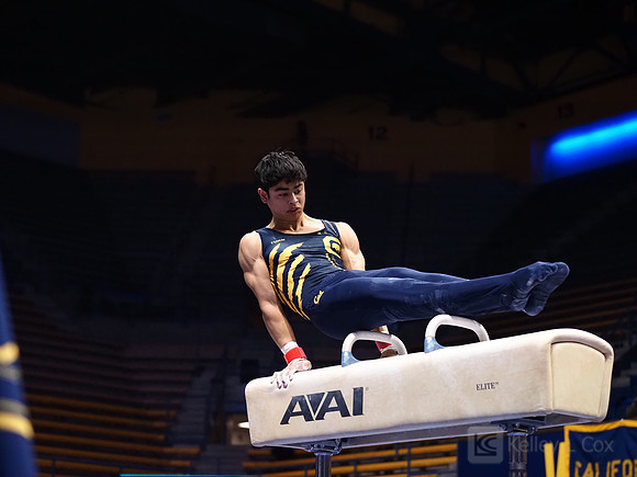 Noah Newfeld
