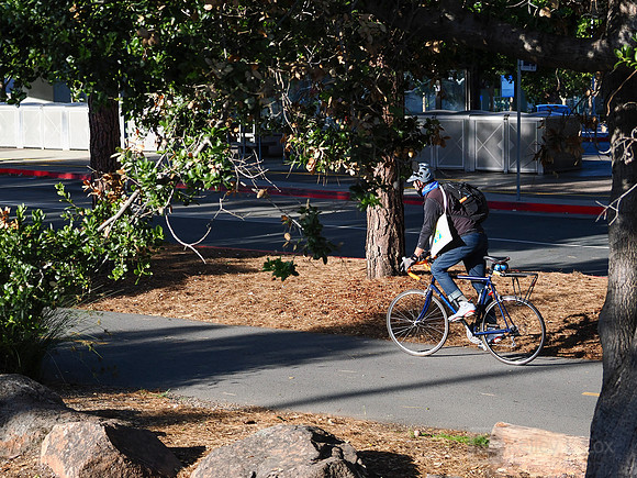 City of El Cerrito: Bike to Wherever Days