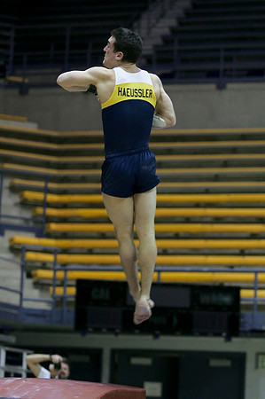 Cal Men's Gymnastics vs Stanford