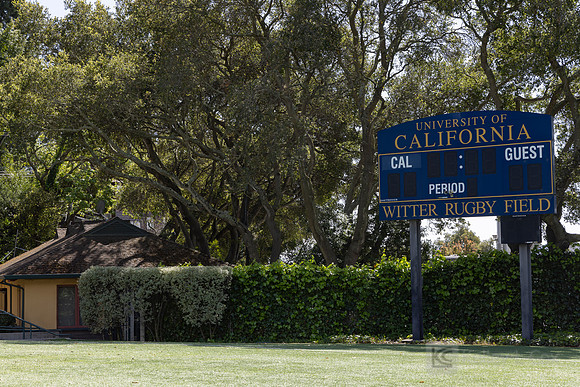 Rugby: California Golden Bears Team