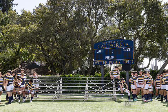 Rugby: California Golden Bears Team