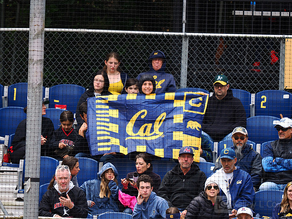 Fans