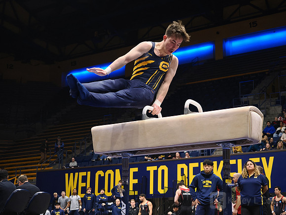 Men’s Gymnastics: California Golden Bears vs Stanford Cardinal