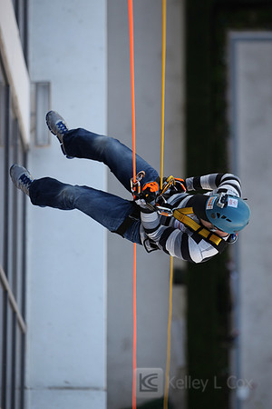 SONV: OTE 2013