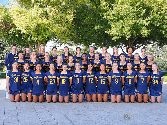 Team