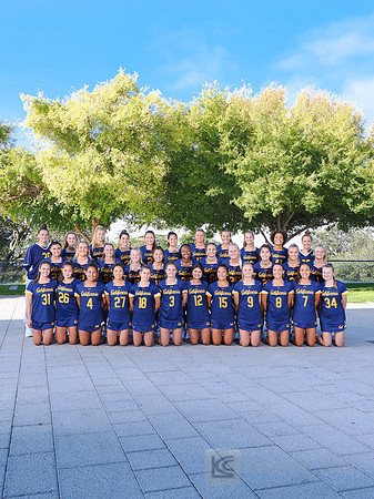 Team