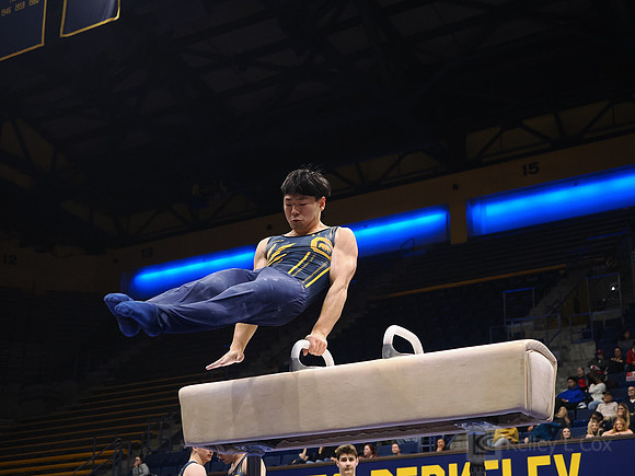 Men’s Gymnastics: California Golden Bears vs Stanford Cardinal