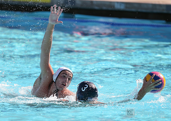 USAWPNL: USA Blue v USA White
