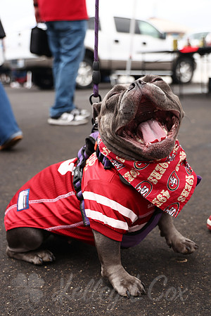 Jaguars 49ers Football
