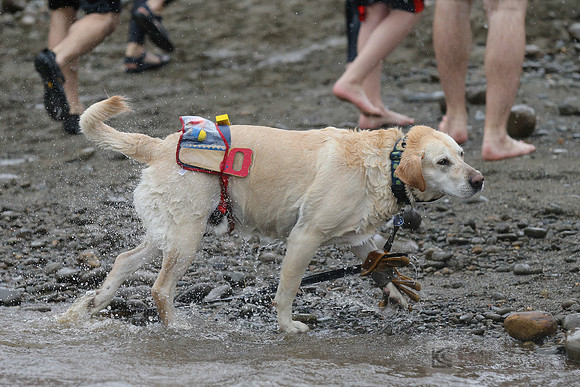 SONC: Polar Plunge Sacramento